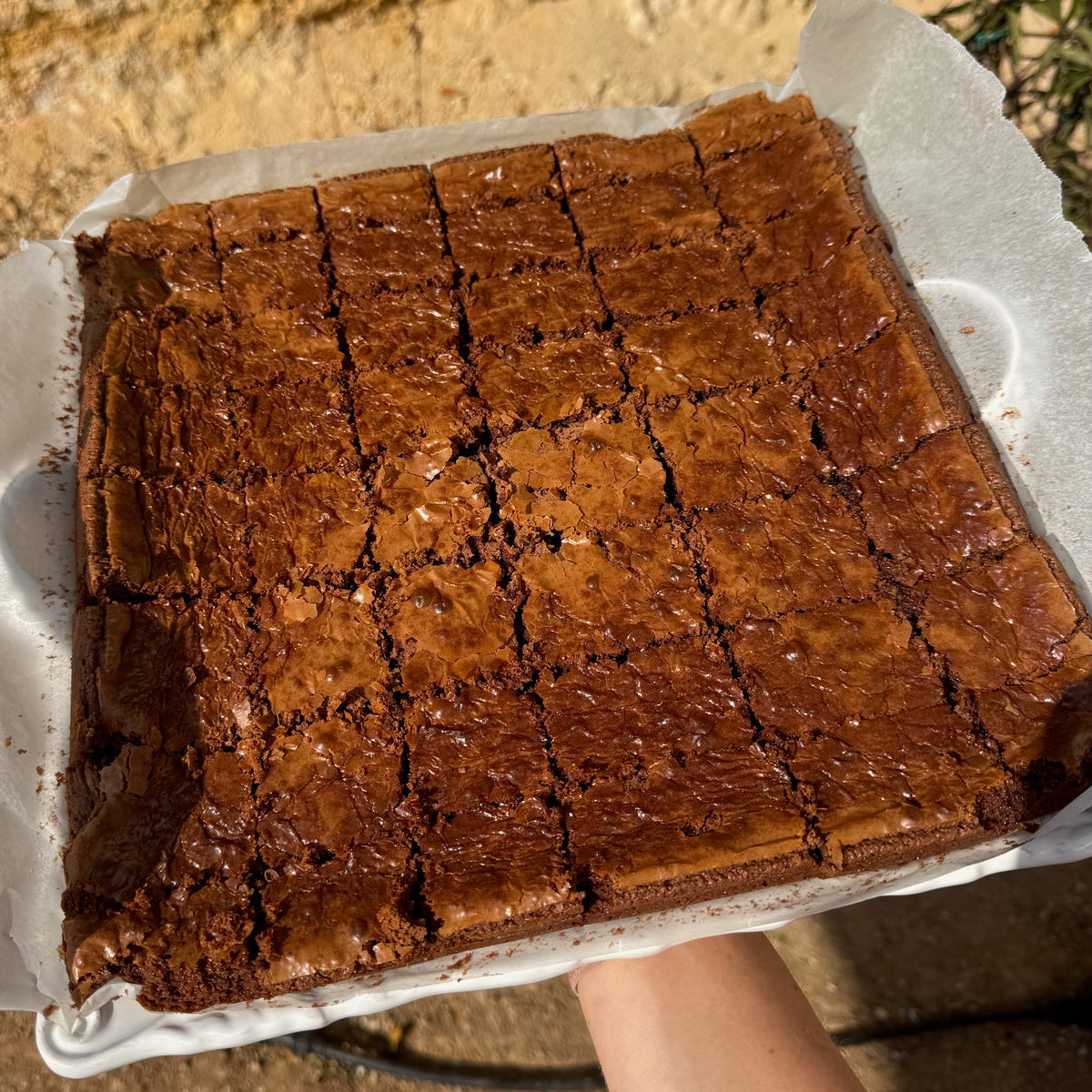 Fudgy Brownie Gift Box (6 Pack)