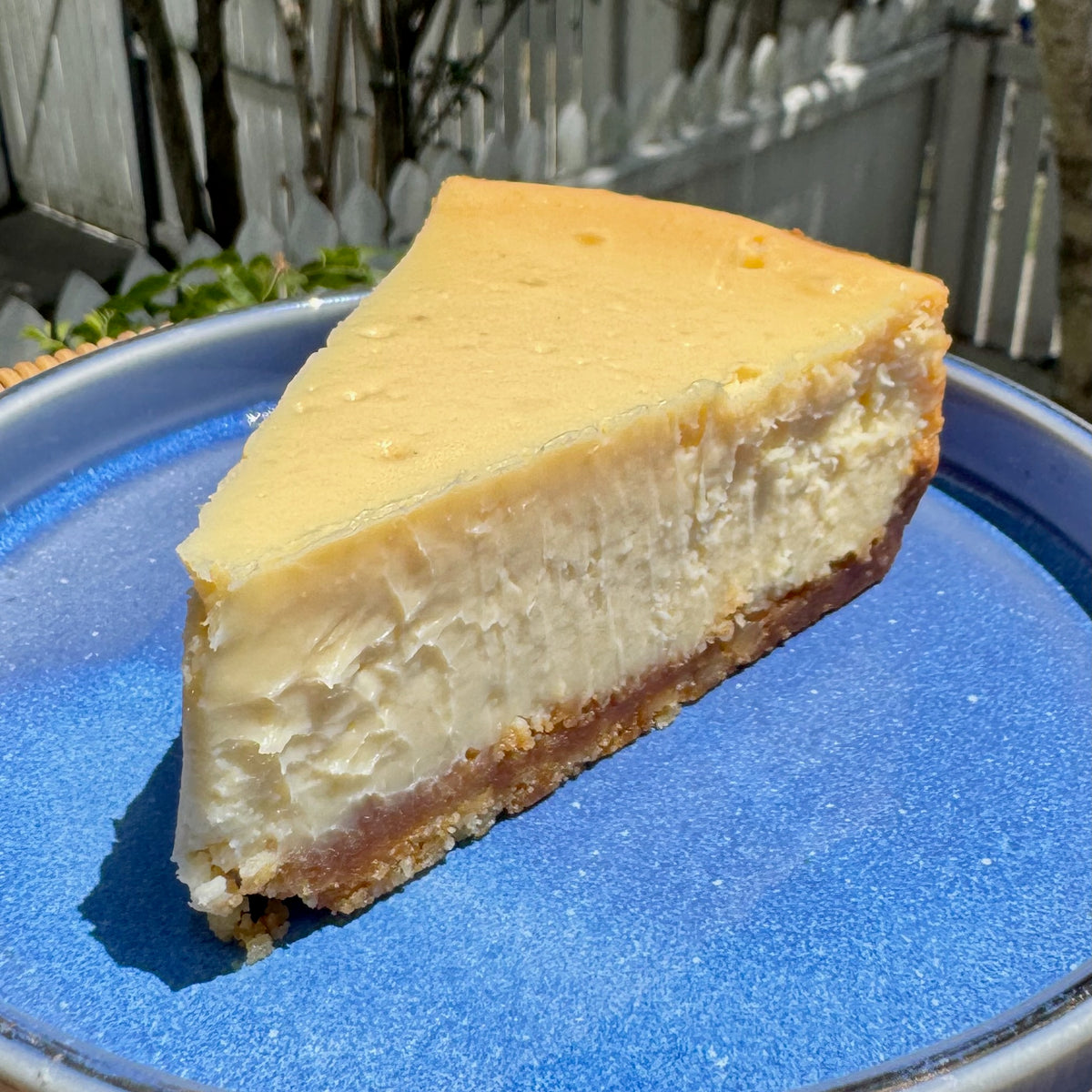 Close-up of Montana's Table baked cheesecake showing biscuit base